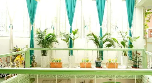 Muse Cafe Guesthouse, Boek Hotel Kashgar Xinjiang