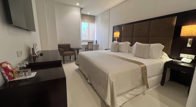 Двухместный номер Executive Hotel Saray