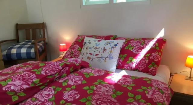Апартаменты vakantiewoning De Lutte