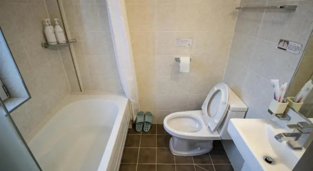 Двухместный номер Standard Hotel Irene City