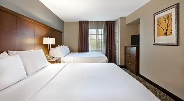 Четырёхместный люкс c 1 комнатой Staybridge Suites Kalamazoo by IHG