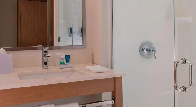 Четырёхместный номер Standard Four Points by Sheraton Midland