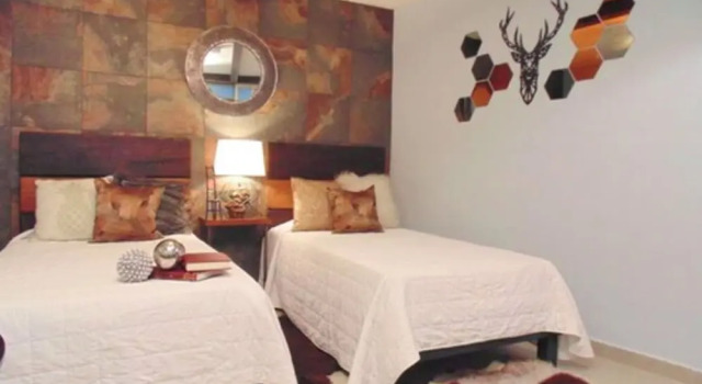 Люкс Coyotito Beds Coyoacan Confort y flexibilidad