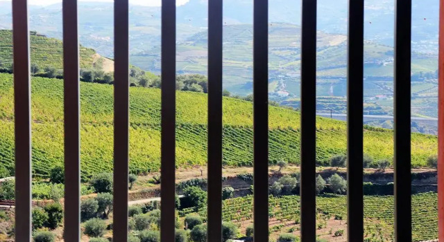 Люкс Quinta da Pitarrela
