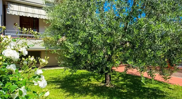 Bed & Breakfast Profumo D'Estate, Book Hotel Agliana Toscana