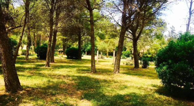 Вилла AGUAIT - Villa approximately aprox 4O OOO meters PLUS PRIVATE mountain approx 3 minutes walking from the beach Ideal for relaxation sport