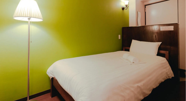 Одноместный номер Van Cort Landt Hotel