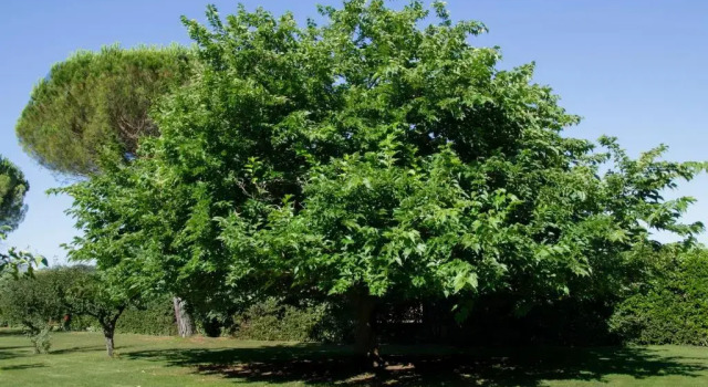 Appartamento Il Giglio, Varaa Huoneisto Spoleto Umbria