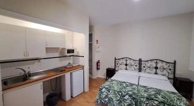 Двухместная студия Apartamentos Mayor Centro