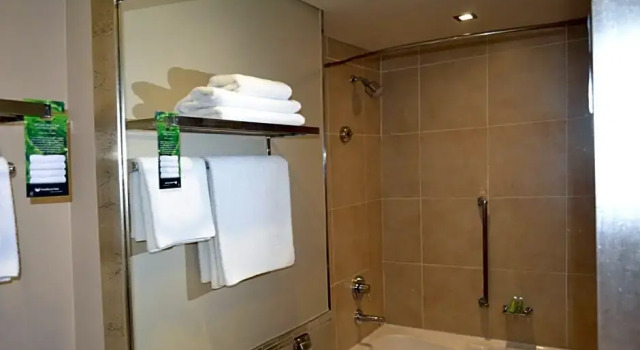 Двухместный номер Executive Southern Sun Pretoria
