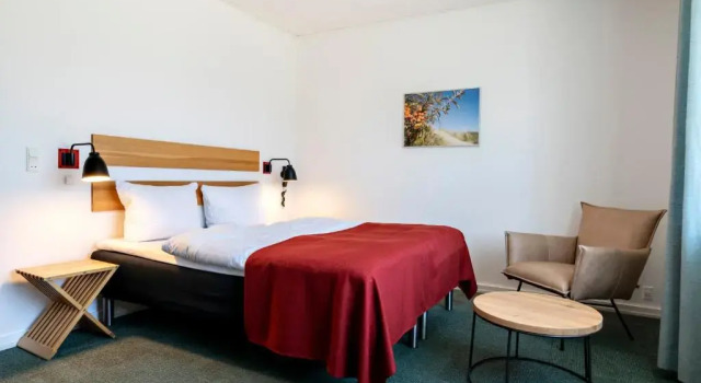 Двухместный номер Standard Color Hotel Skagen