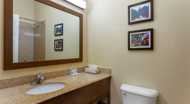 Люкс Springplace Inn & Suites