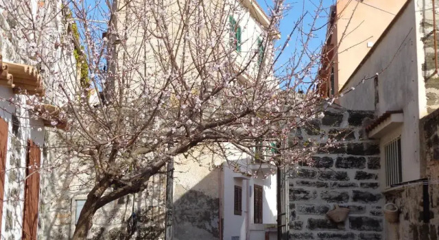 Baglio LAntico Forno