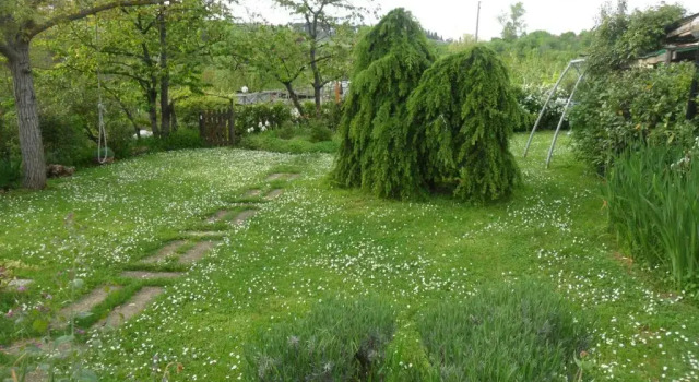 Affittacamere DaMammaSara, Забронировать Гостевой дом Риньяно-суль-Арно Valdarno