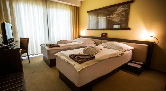 Номер Standard Wellness Hotel Diplomat
