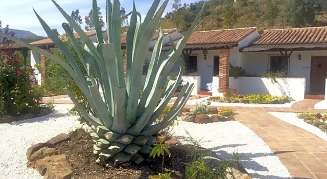 Boutique B&B Cortijo Valverde Álora, Забронировать Отель Отели Алора с парковкой, Парковка