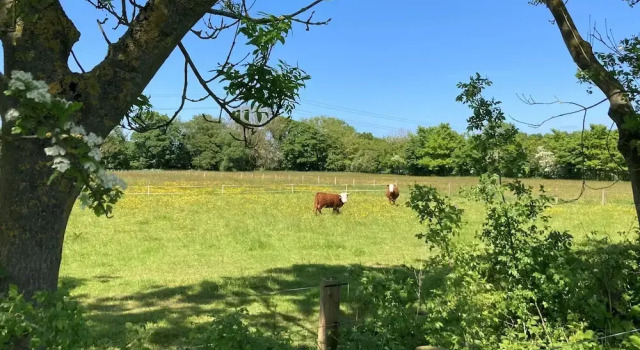 1br-sleeps2-field View-parking-cabin Experience, Prenota Casa vacanze Hepscott Northumberland