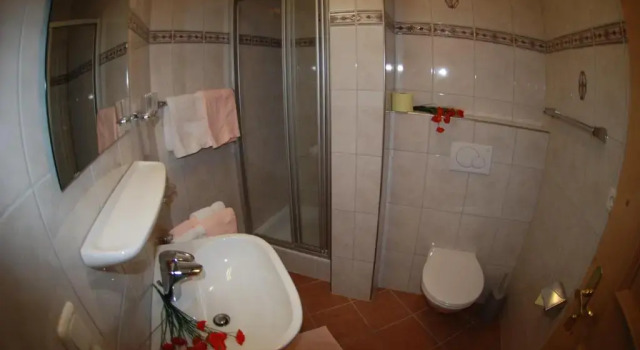Номер Superior Hotel Garni Gafluna