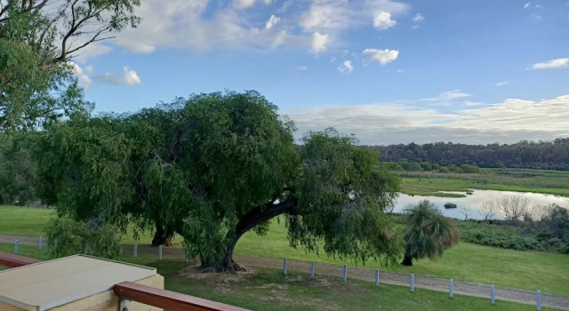 Номер Standard Yanchep Inn
