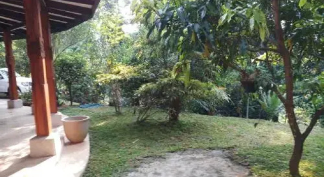ambasewana Bungalow