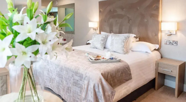 Двухместный номер Superior Gleesons Townhouse Booterstown