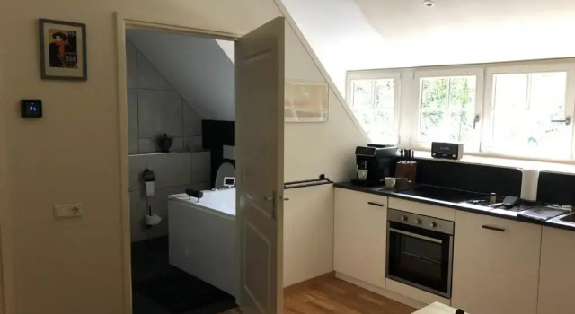 Апартаменты Bed and Breakfast De Haen - Prive-appartementen van 43 of 60 m2 met tweepersoons bubbelbad - Finse s