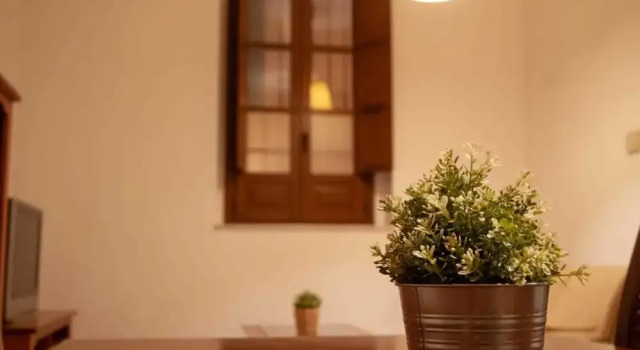 Sweet Sevilla Apartments, Забронировать Апартаменты/квартира Севилья провинция Севилья, рядом с La Torre de Don Fadrique