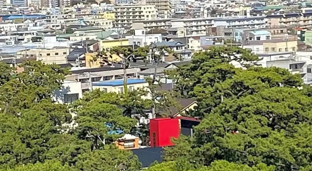 Номер Standard с видом на сад Minato Oasis Numazu / 沼津観光の中心、伊豆観光の拠点に好立地！沼津港に位置し交通・飲食・コンビニ等至便です！