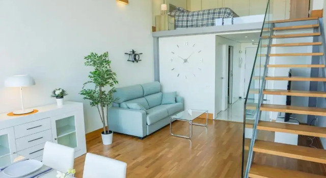 Апартаменты Duplex LOFT Apartamento silencioso. Parking GRATIS