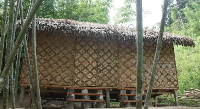 Standart oda Rain Forest Inn