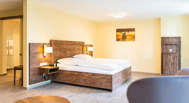 Номер Standard Robenstein Aktivhotel & SPA