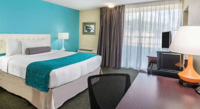 Standard Kahden hengen huone Hotel 505