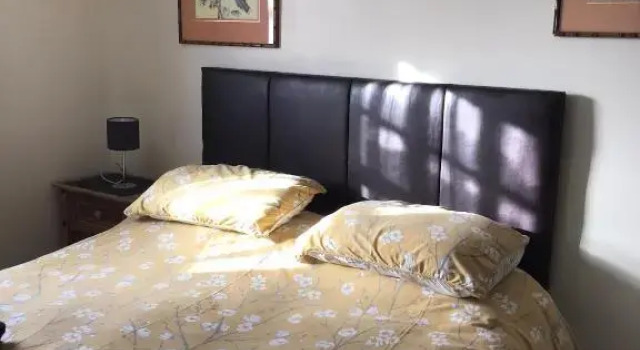 Номер Standard Dolphin Hotel
