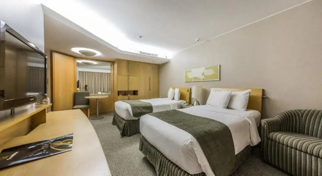 Двухместный номер Standard Grand Bittar Hotel