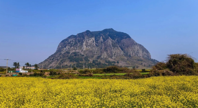 Двухместный семейный номер Deluxe с видом на сад Grand Josun Jeju