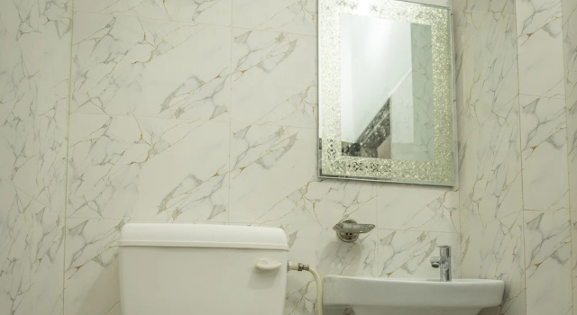 Номер Standard Hotel Chouhan Palace