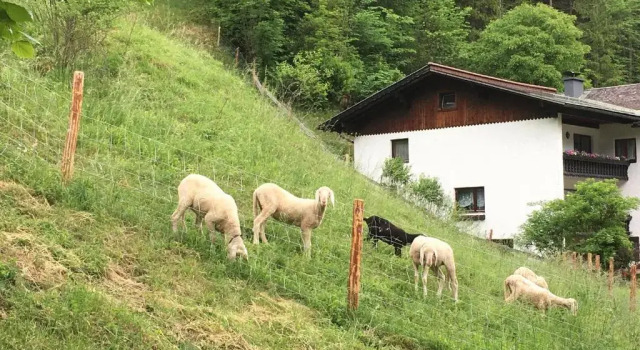 Апартаменты Chalet am Sonnenhang
