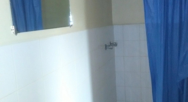 Трёхместный номер Standard Tropicana Motel & Backpackers