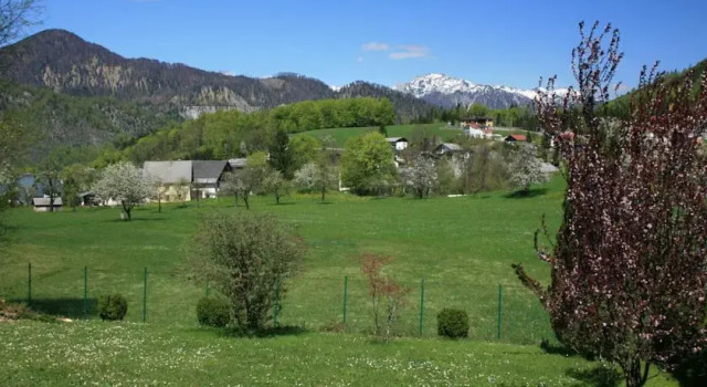 Haus Bristol, Prenota Appartamento Bad Ischl Alta Austria