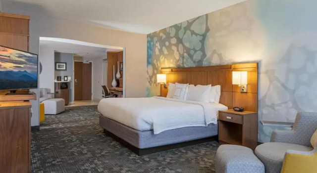 Люкс Courtyard by Marriott Asheville Airport