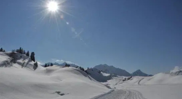 Alpenapart Arlberg, Book Hotel Warth am Arlberg 