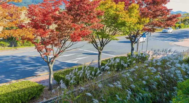 Студия Дуплекс Four Seasons Pension