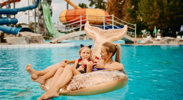 Hotel Čatež - Terme Čatež, Đặt Khách sạn Catez ob Savi Brezice