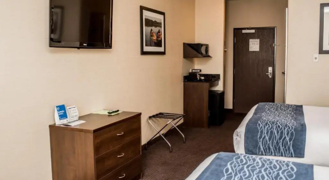 Четырёхместный номер Standard Comfort Inn & Suites