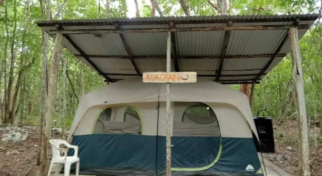 Тент Campamento Yaax Che en Calakmul