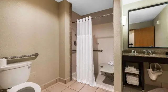 Номер Standard Comfort Suites Tampa Airport North