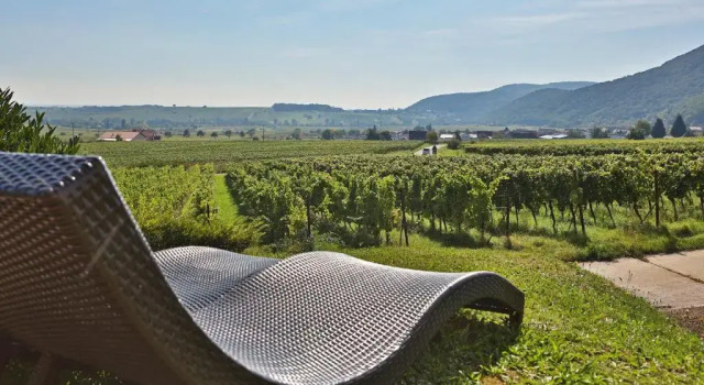 Hotel Leinsweiler Hof, Réserver Hôtel Leinsweiler Wine Route