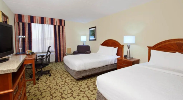 Четырёхместный номер Deluxe Hilton Garden Inn Chesapeake Greenbrier