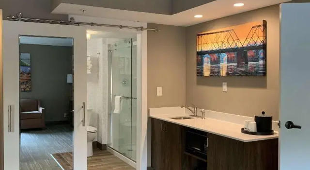 Люкс c 1 комнатой Hampton Inn Harrisburg-East/Hershey