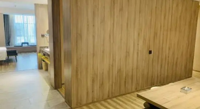 Двухместный люкс Business TRUE GO Hotel (Shenzhen Qianhai Yifang City)
